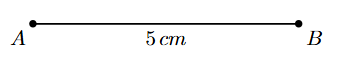 Step 1 Step 1: A line segment AB of length 5 cm is drawn.